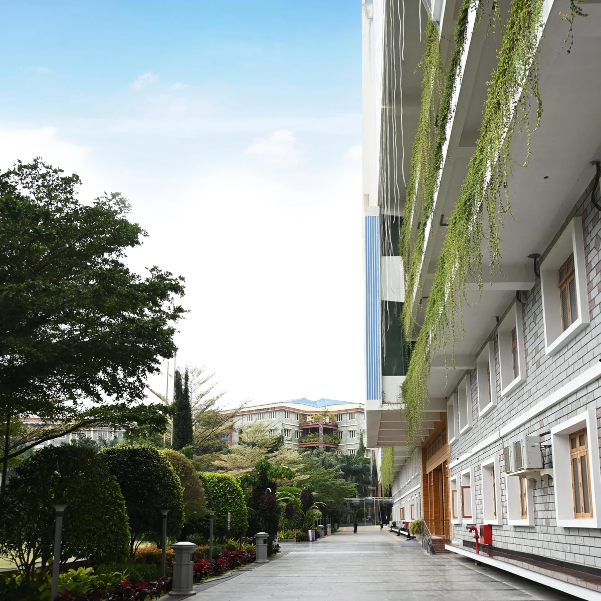 Kristu Jayanti University Activities